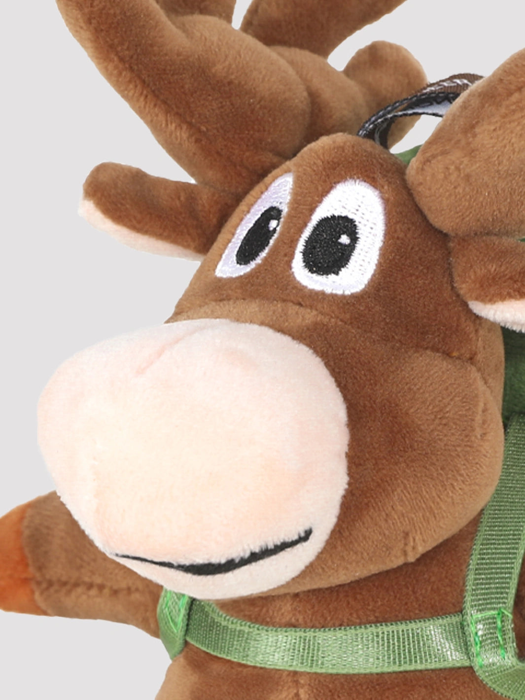 Moose the Mascot